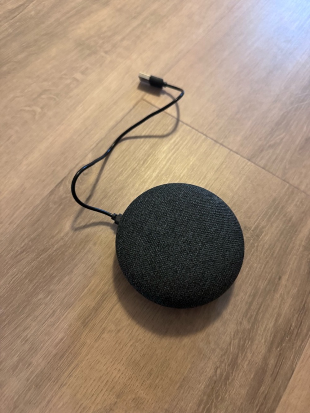 Google home mini